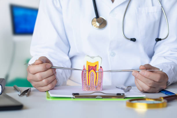 Best Emergency Dentist for Lost Fillings or Crowns in Spencer, WI